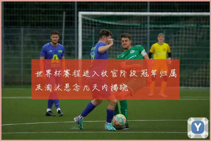世界杯赛程进入收官阶段 冠军归属及淘汰悬念几天内揭晓