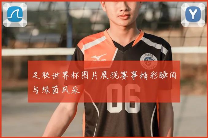 足联世界杯图片展现赛事精彩瞬间与绿茵风采