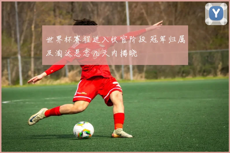 世界杯赛程进入收官阶段 冠军归属及淘汰悬念几天内揭晓