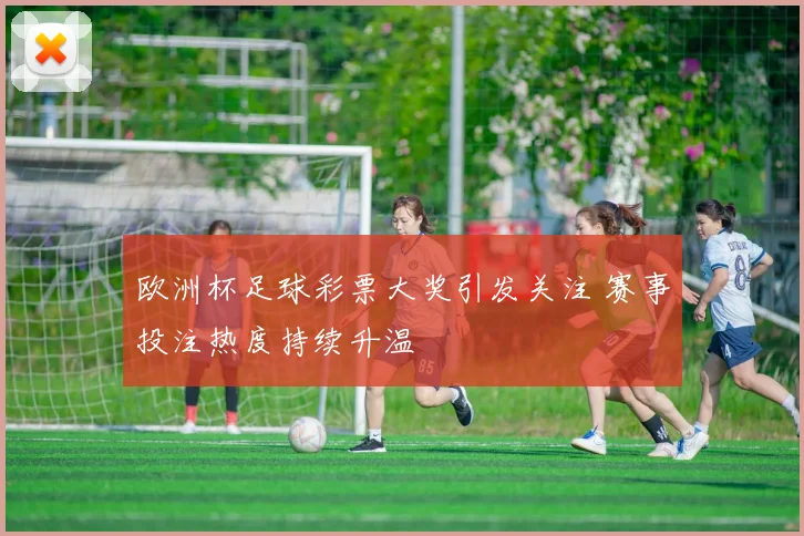 欧洲杯足球彩票大奖引发关注 赛事投注热度持续升温