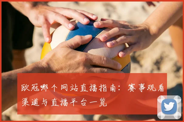 欧冠哪个网站直播指南:赛事观看渠道与直播平台一览