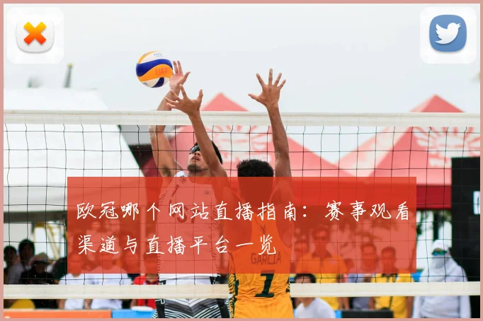 欧冠哪个网站直播指南:赛事观看渠道与直播平台一览