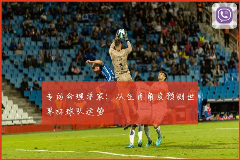 专访命理学家：从生肖角度预测世界杯球队运势